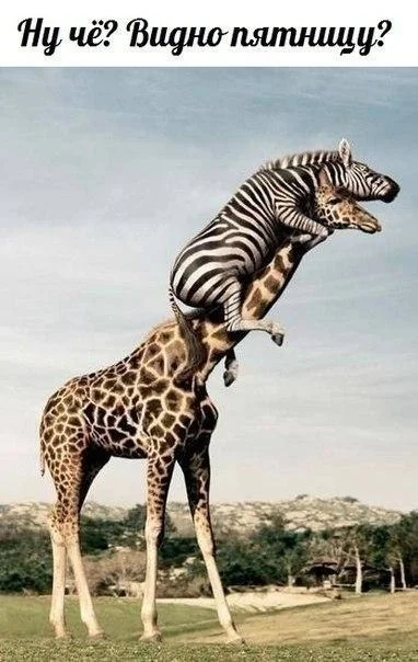 VK_Saved_Photo_ 636137268277690735.webp