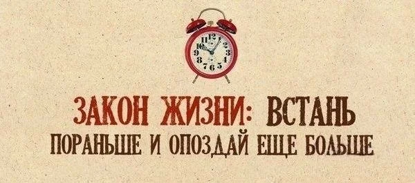 VK_Saved_Photo_ 636137543900193626.webp