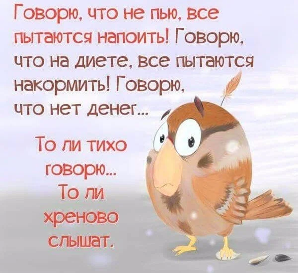 VK_Saved_Photo_ 636137923165899099.webp