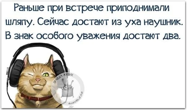 VK_Saved_Photo_ 636138417654756786.webp