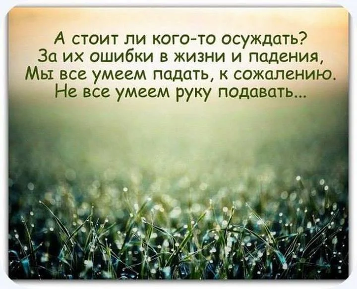 VK_Saved_Photo_ 636139357753022421.webp