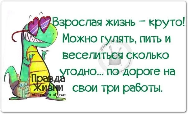 VK_Saved_Photo_ 636140304565148968.webp