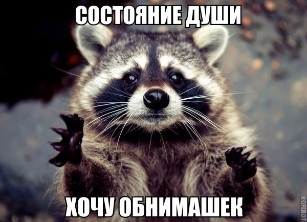 VK_Saved_Photo_ 636141459453708644.webp