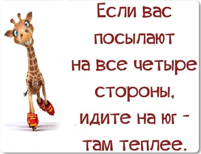 VK_Saved_Photo_ 636141460105874686.webp