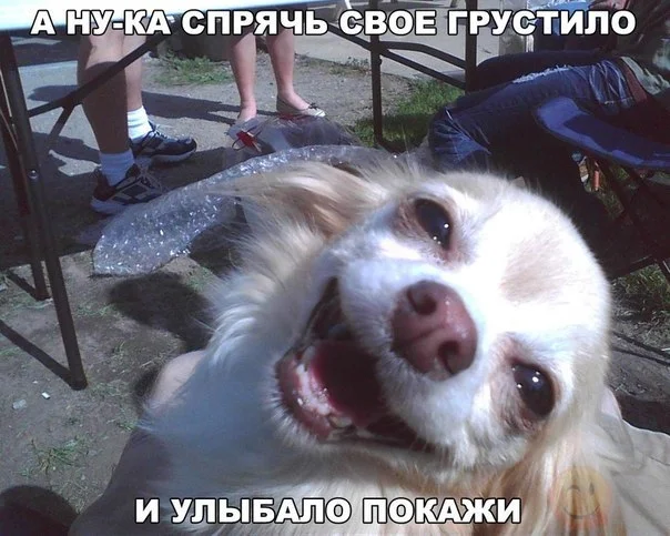 VK_Saved_Photo_ 636141861617992707.webp