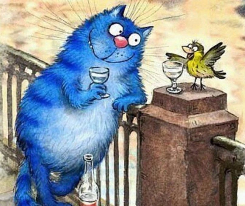 VK_Saved_Photo_ 636144933820111105.webp