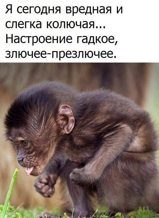 VK_Saved_Photo_ 636147914254693186.webp