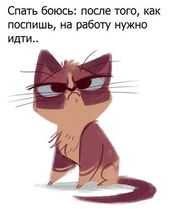 VK_Saved_Photo_ 636147914453061912.webp