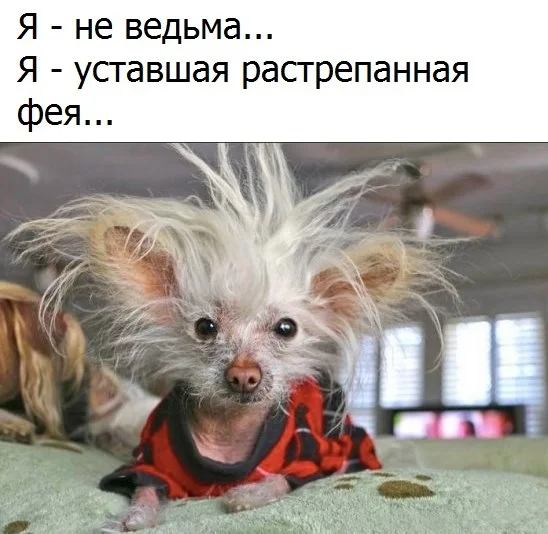 VK_Saved_Photo_ 636150185366552955.webp