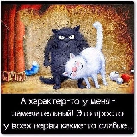 VK_Saved_Photo_ 636150212787499047.webp