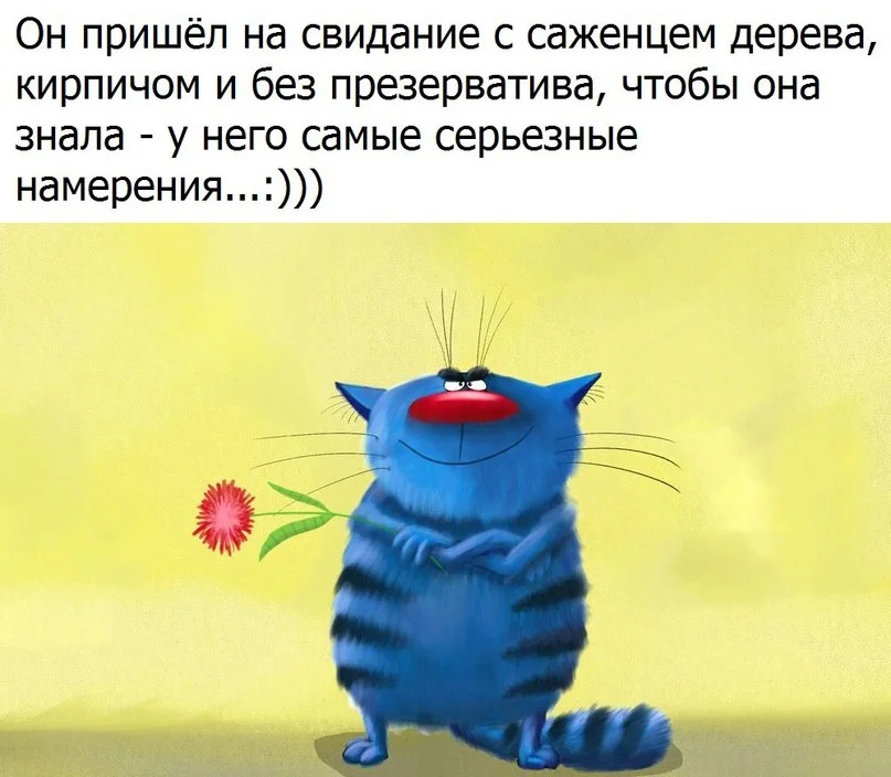 VK_Saved_Photo_ 636150947885196226.webp