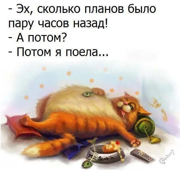 VK_Saved_Photo_ 636150948211510409.webp