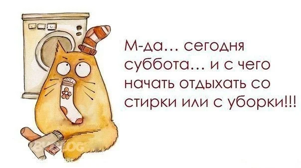 VK_Saved_Photo_ 636181717108455032.webp