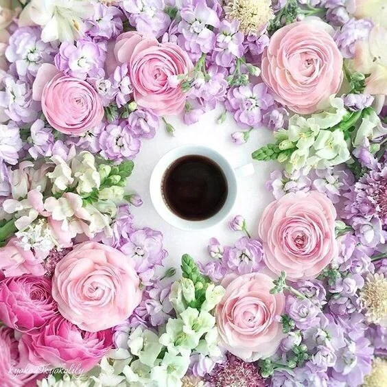 VK_Saved_Photo_ 636340045481700827.webp