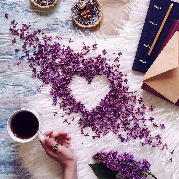 VK_Saved_Photo_ 636341932763609745.webp