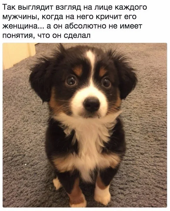 VK_Saved_Photo_ 636556098612823705.webp