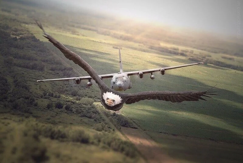 VK_Saved_Photo_ 636679592491837874.webp