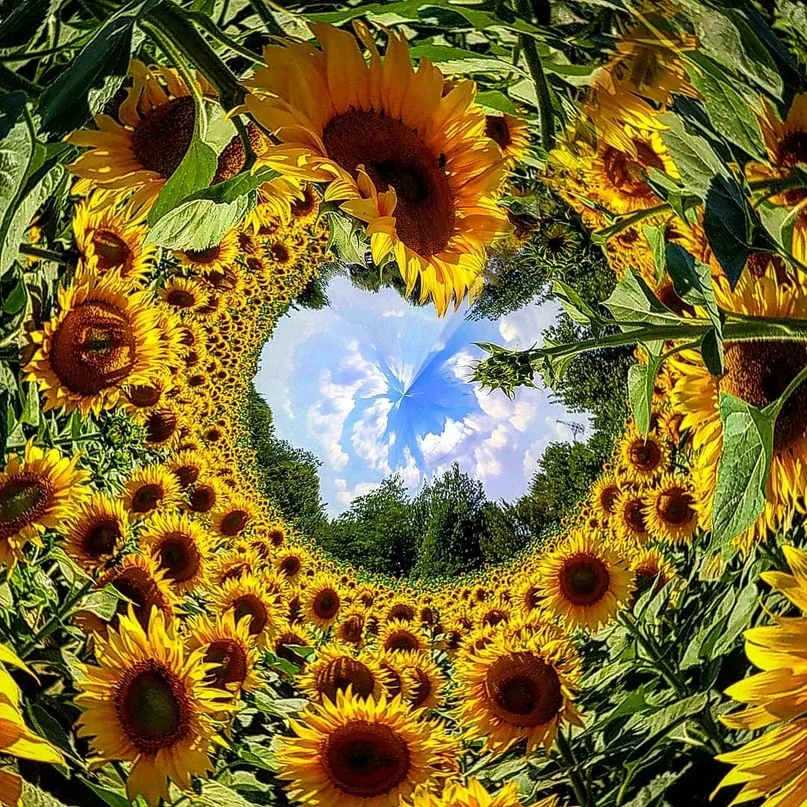 VK_Saved_Photo_ 636681251512301063.webp