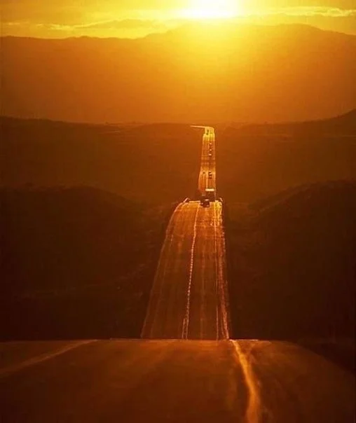 VK_Saved_Photo_ 636685529072455710.webp