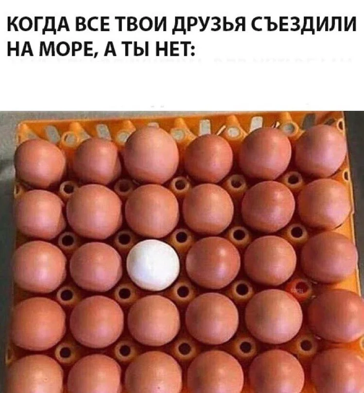 VK_Saved_Photo_ 636691947839231608.webp