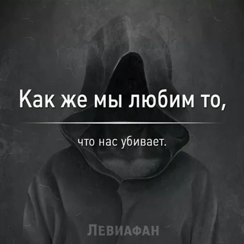 VK_Saved_Photo_ 636692352599622765.webp