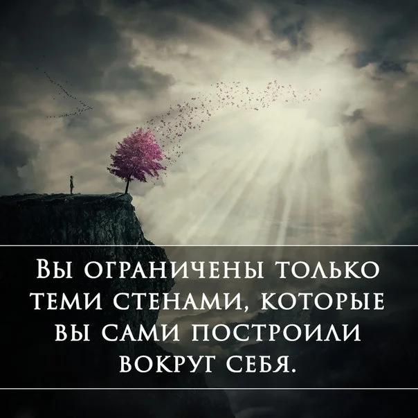 VK_Saved_Photo_ 636692385708683122.webp