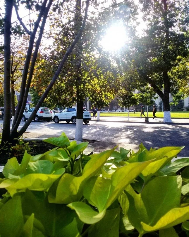 VK_Saved_Photo_ 636694862971163895.webp