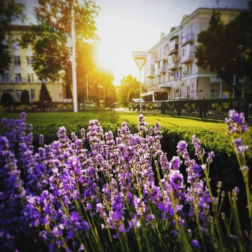 VK_Saved_Photo_ 636694864405739568.webp