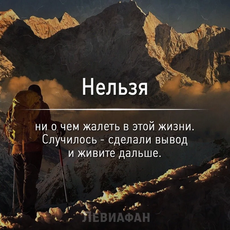 VK_Saved_Photo_ 636699205170797780.webp