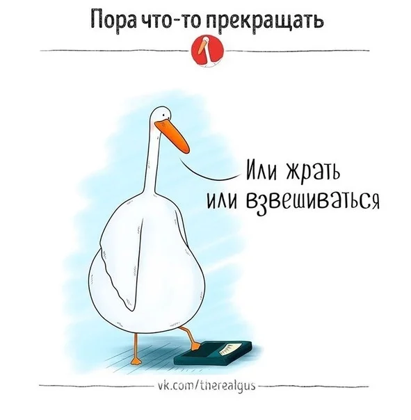 VK_Saved_Photo_ 636699350752009898.webp