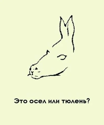 VK_Saved_Photo_ 636699651200983055.webp