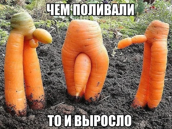 VK_Saved_Photo_ 636699655771921448.webp