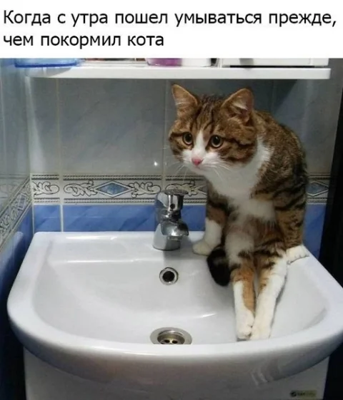 VK_Saved_Photo_ 636699724294244381.webp