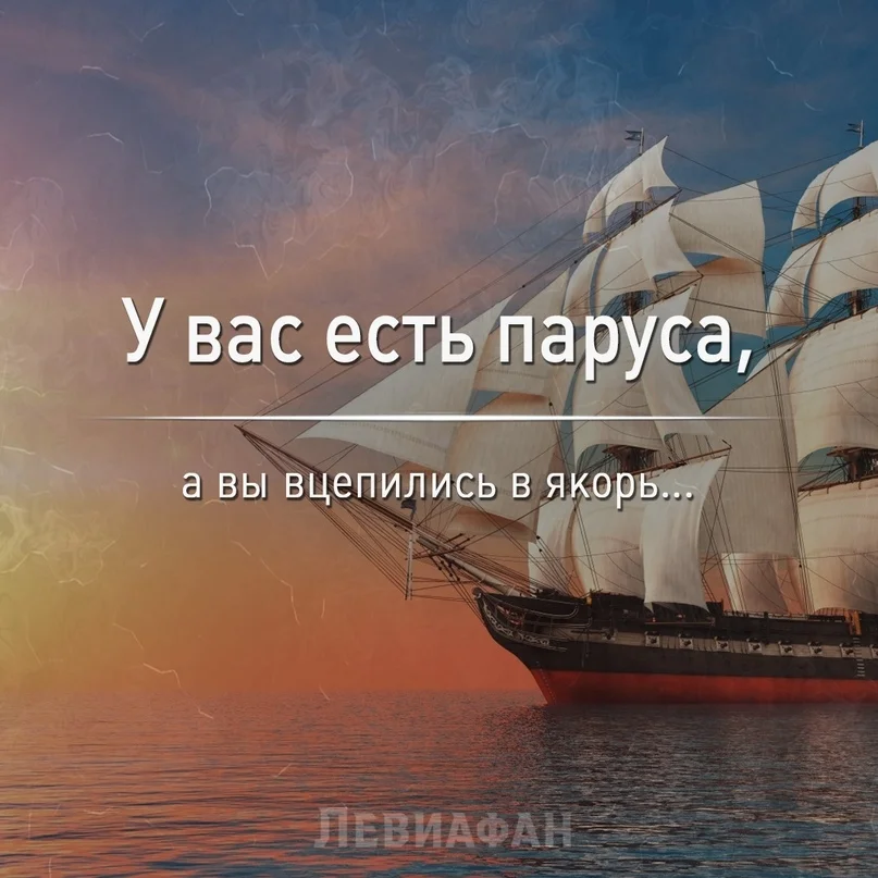 VK_Saved_Photo_ 636699733384122136.webp