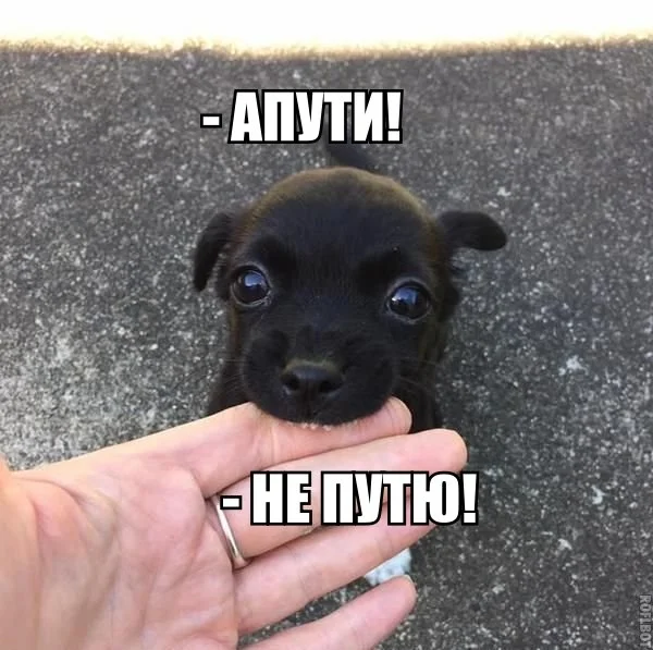 VK_Saved_Photo_ 636700498046672350.webp