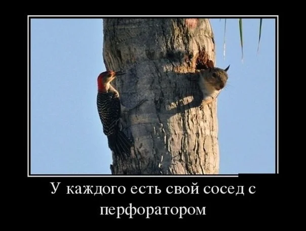 VK_Saved_Photo_ 636704556389943400.webp