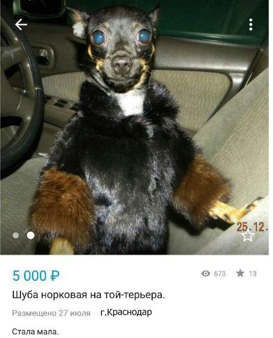 VK_Saved_Photo_ 636707786530570625.webp