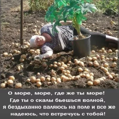 VK_Saved_Photo_ 636709051821187917.webp