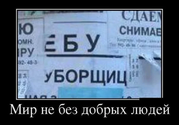 VK_Saved_Photo_ 636709639172338166.webp