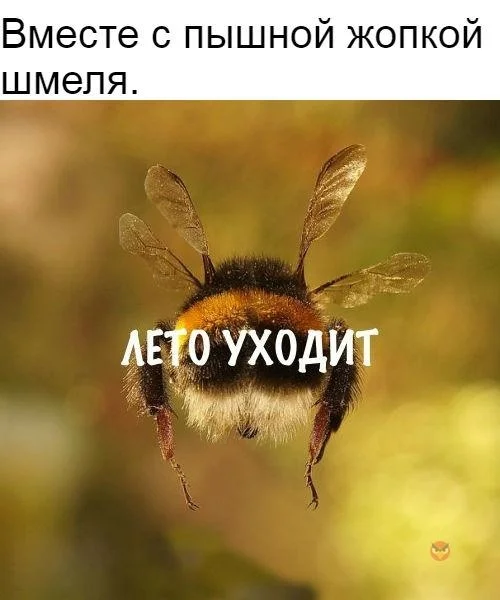 VK_Saved_Photo_ 636710701539682007.webp