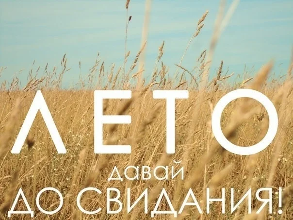 VK_Saved_Photo_ 636713504536650352.webp