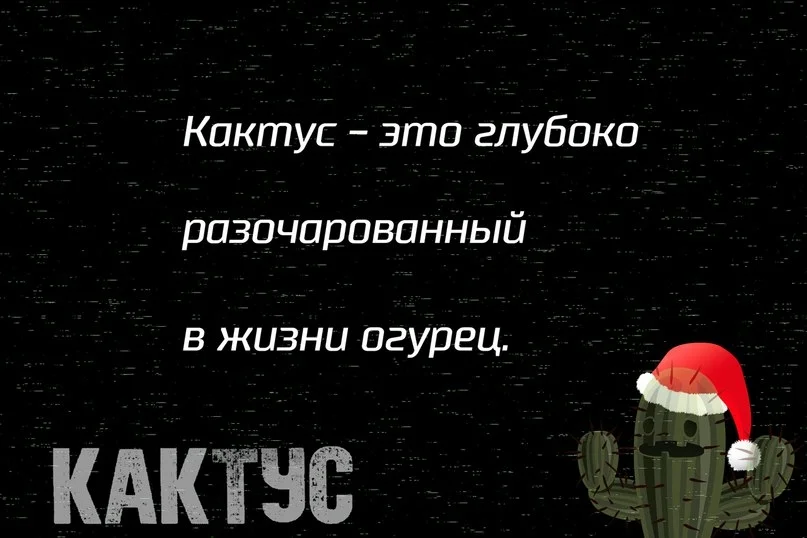 VK_Saved_Photo_ 636713514664493476.webp