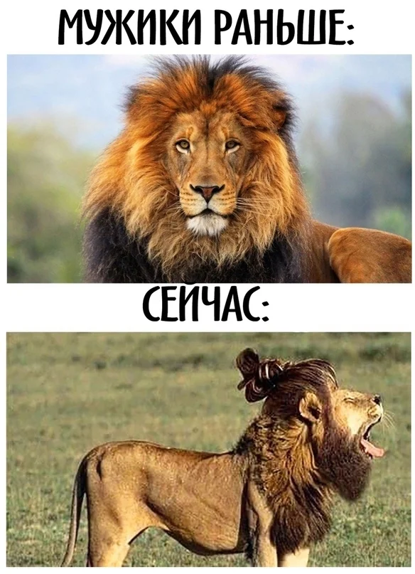 VK_Saved_Photo_ 636715096519801305.webp