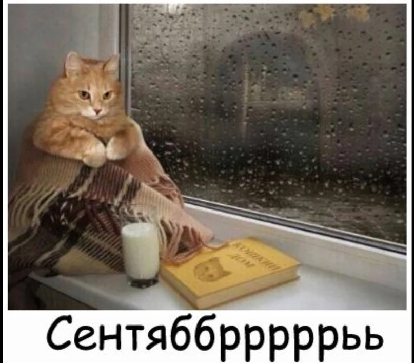 VK_Saved_Photo_ 636718625552115768.webp