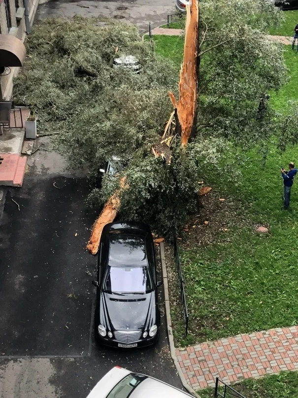 VK_Saved_Photo_ 636723890528291219.webp