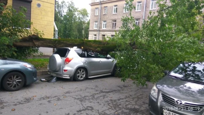 VK_Saved_Photo_ 636723890600149580.webp