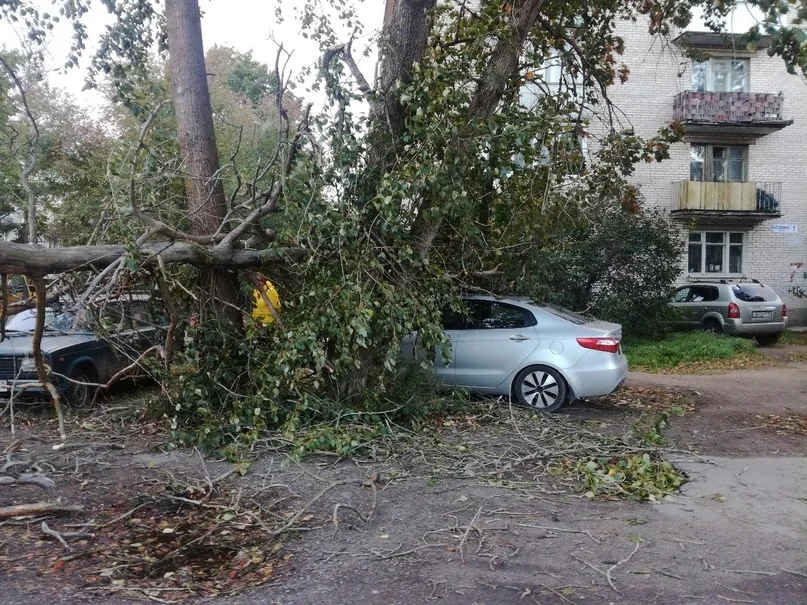 VK_Saved_Photo_ 636723890635957282.webp