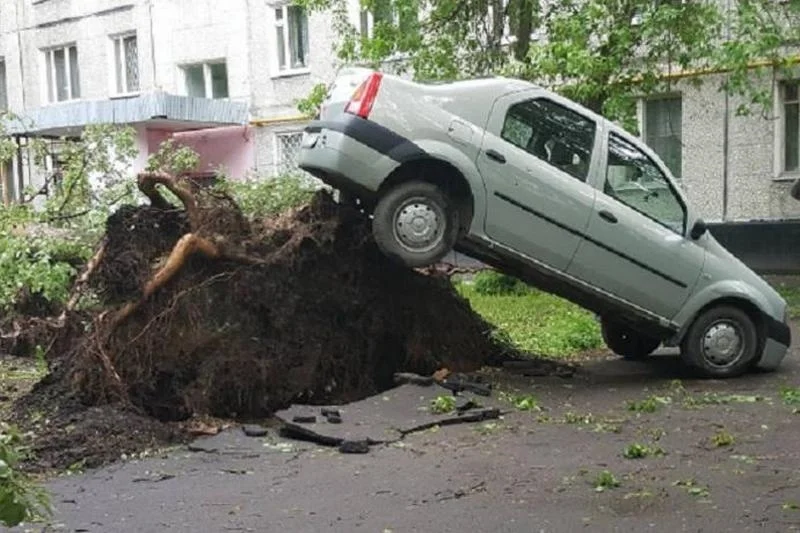 VK_Saved_Photo_ 636723890669490992.webp