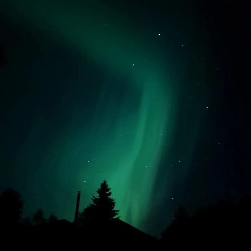 VK_Saved_Photo_ 636726992163898968.webp