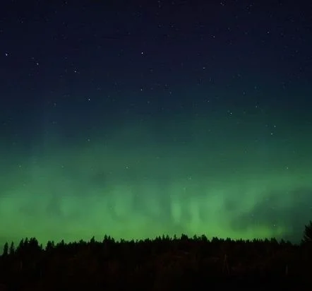 VK_Saved_Photo_ 636726992203380067.webp